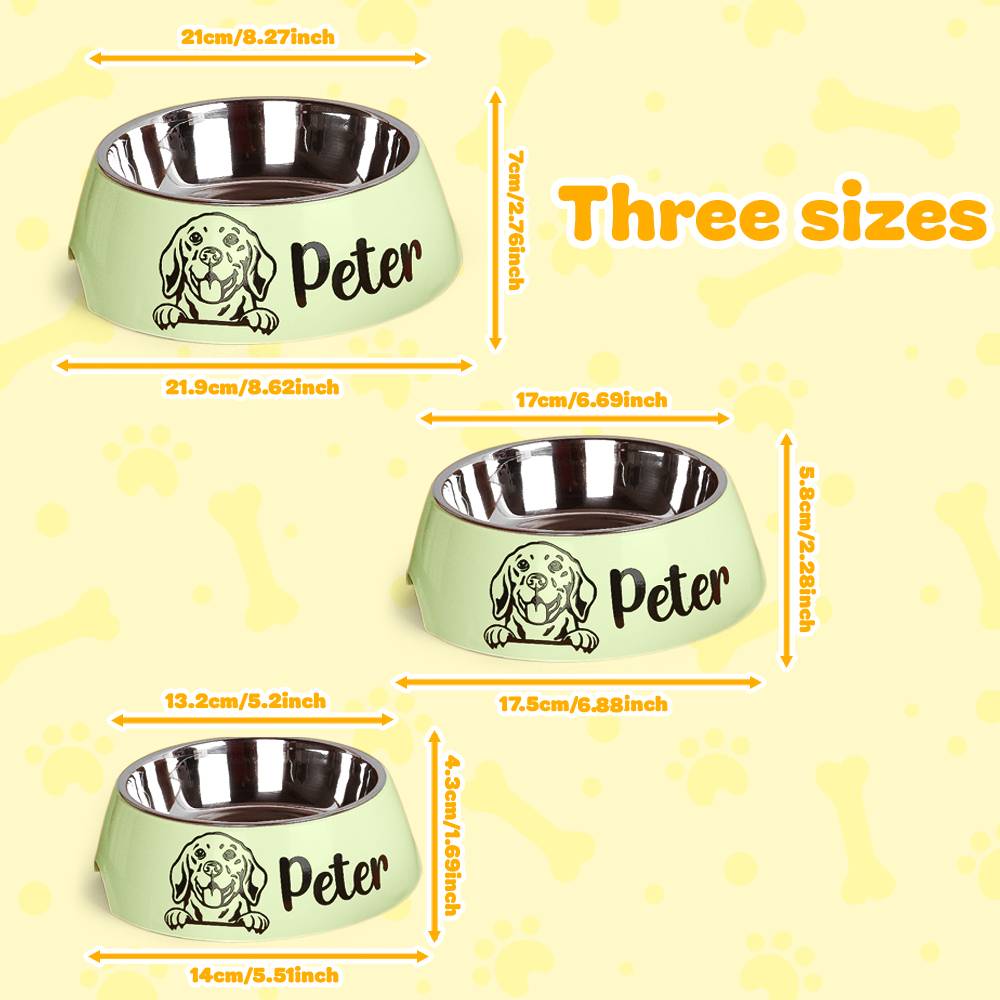 Personalized Stainless Steel Pet Bowl – Custom Dog Food & Water Dish