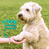 Personalized Pet Name Necklace – Comes with a Free Matching Bracelet