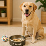 Personalized Stainless Steel Dog Bowl with Custom Name