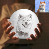 Photo Moon Lamp, Custom 3D Photo Light, Cute Pet - Remote Control Sixteen Colors 10-20cm