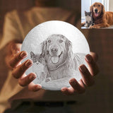 Photo Moon Lamp, Custom 3D Photo Light, Cute Pet - Remote Control Sixteen Colors 10-20cm