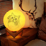 Photo Moon Lamp, Custom 3D Photo Light, Cute Pet - Remote Control Sixteen Colors 10-20cm