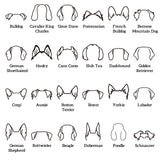 Custom Embroidered Dog Ear Sweatshirt – Personalized Dog Mom Hoodie Gift